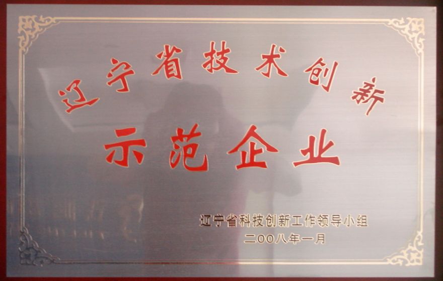 2008省技術創(chuàng)新示范企業(yè).jpg